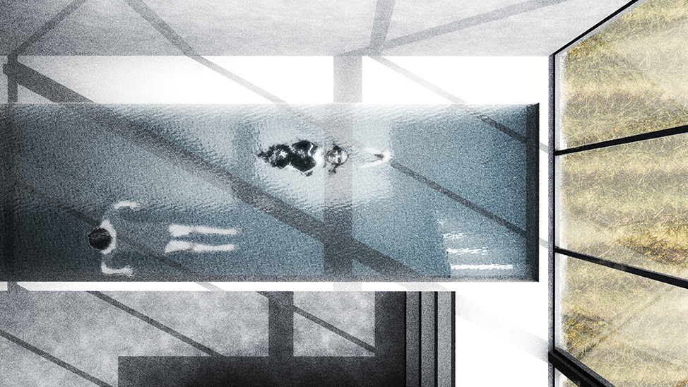 Perspectives sur bassin de marche<br>Document personnel - Cinema 4d - Adobe Photoshop