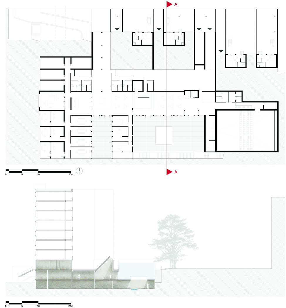 Plan de rez-de-chaussée sur rue et coupe transcersale du projet.<br>Document personnel - Archicad - Adobe Photoshop